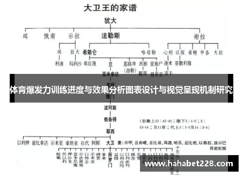 体育爆发力训练进度与效果分析图表设计与视觉呈现机制研究